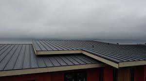 Best Steel Roofing  in New Carlisle, IN